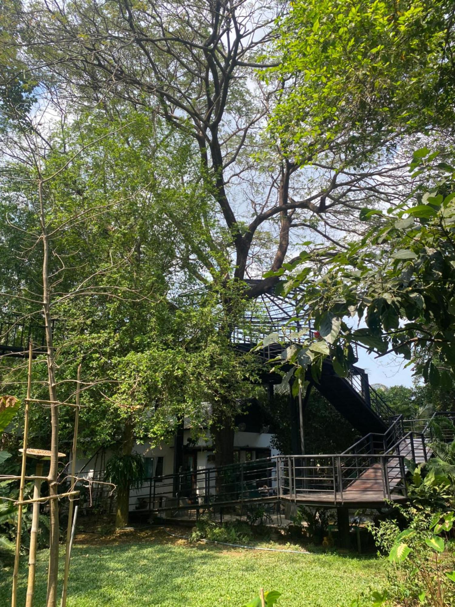 Hostelbed And Retreat Phitsanulok Eksteriør bilde